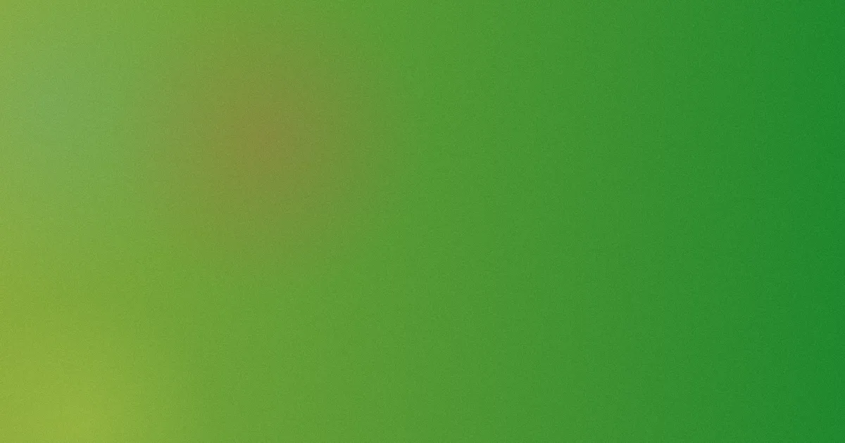 日本欧美视频测评：避坑流程